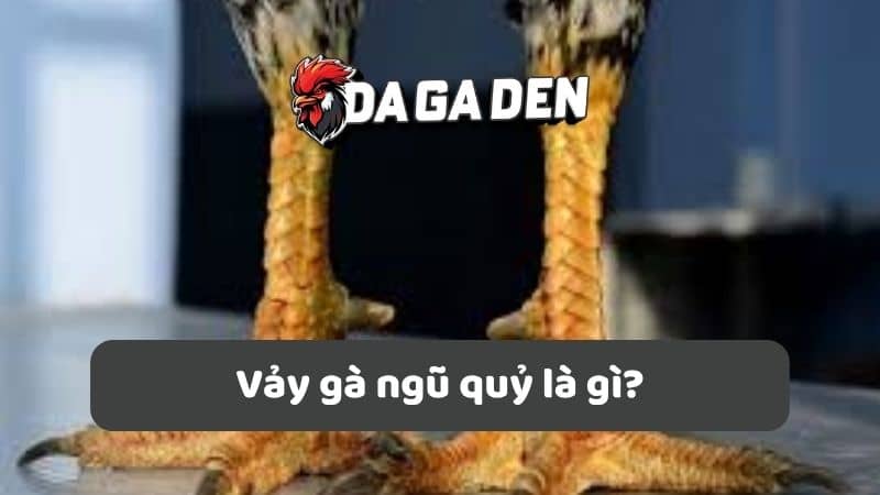 Vảy gà ngũ quỷ là gì?