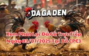 Xem Phát Lại Đá Gà Trực Tiếp Ngày 03/07/2025 Tại Bồ CPC3
