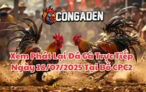 Xem Phát Lại Đá Gà Trực Tiếp Ngày 18/07/2025 Tại Bồ CPC2