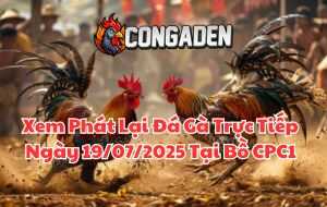 Xem Phát Lại Đá Gà Trực Tiếp Ngày 19/07/2025 Tại Bồ CPC1