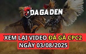 Xem Phát Lại Đá Gà Trực Tiếp Ngày 03/08/2025 Tại Bồ CPC2